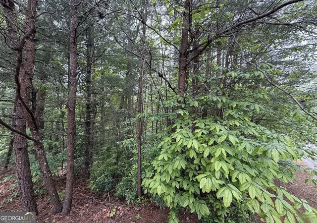 Photo 3 of Land for sale at 0 Hinterstraten Weg #116, Helen, GA 30545 | MLS# 10772995 | Listing updated on 2026-06-11
