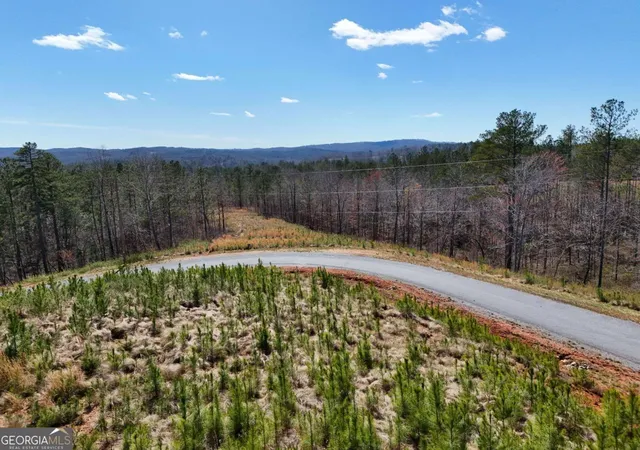 Photo 1 of Land for sale at 155 Shallow Water Trl, Talking Rock, GA 30175 | MLS# 10712893 | Listing updated on 2026-04-01
