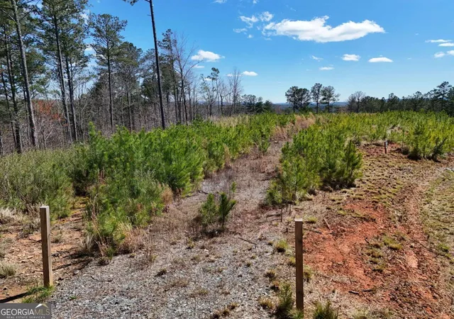 Photo 3 of Land for sale at 155 Shallow Water Trl, Talking Rock, GA 30175 | MLS# 10712893 | Listing updated on 2026-04-01