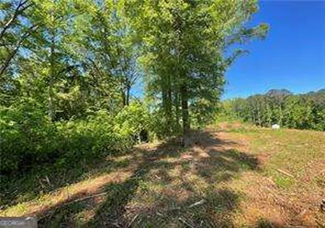 Homes for sale in Buckhead, GA | 1111 Dockside Dr, Buckhead, GA 30625 | MLS# 10728341