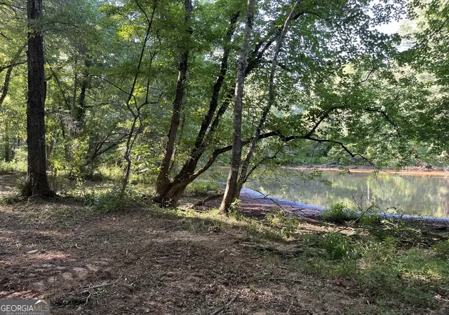 47th image of 0 Sportsman Club, Hogansville, GA 30230 | MLS# 10767626