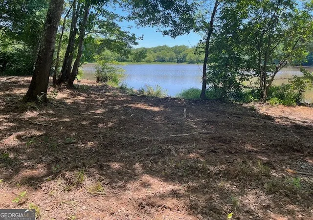 4th image of 0 Sportsman Club, Hogansville, GA 30230 | MLS# 10767626