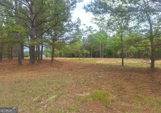 11th image of 0 Cv Mosley Blvd, Lyons, GA 30436 | MLS# 10753729