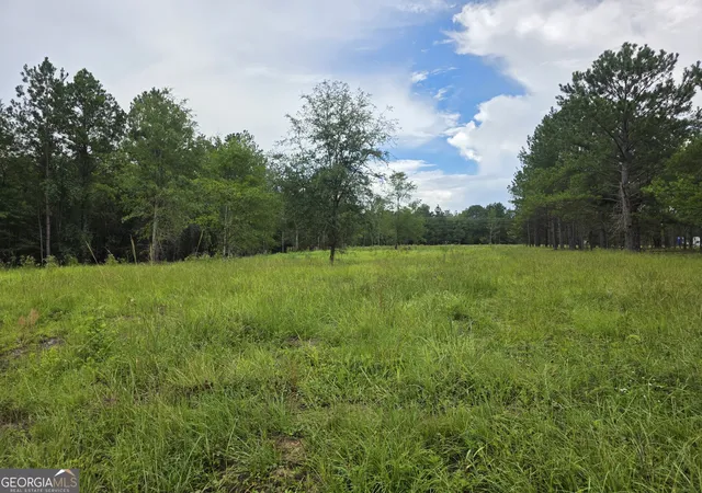 1st image of 0 Cv Mosley Blvd, Lyons, GA 30436 | MLS# 10753729