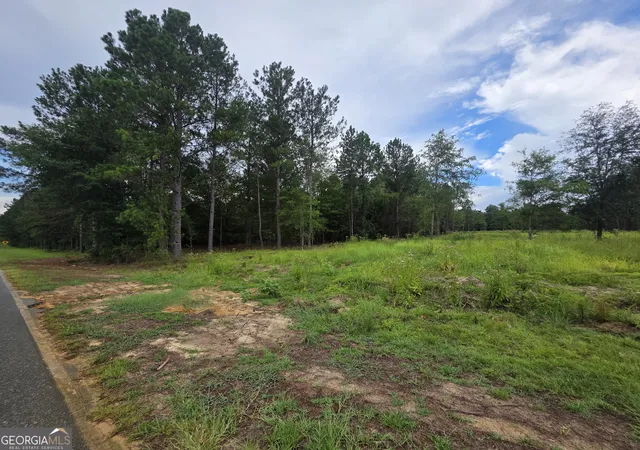 4th image of 0 Cv Mosley Blvd, Lyons, GA 30436 | MLS# 10753729