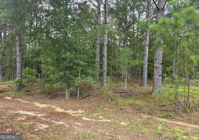 5th image of 0 Cv Mosley Blvd, Lyons, GA 30436 | MLS# 10753729