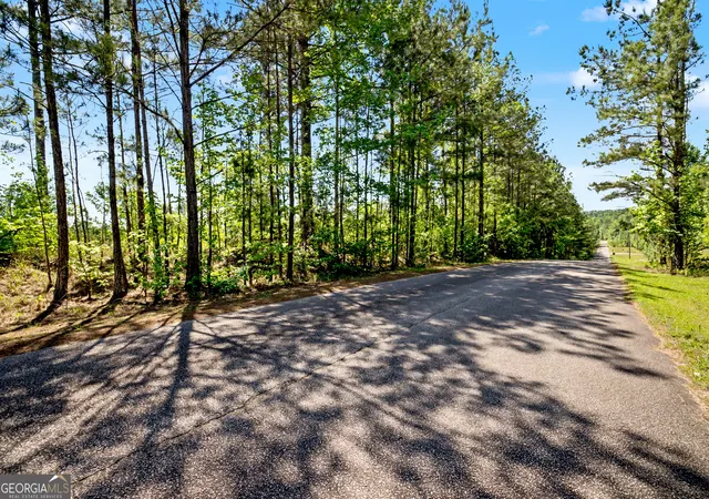 Homes for sale in Lanett, AL | Lot 4a, 4b Windwood Estate Dr, Lanett, AL 36863 | MLS# 10753801