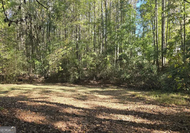 34th image of 377 Dock Hyde Rd, Carrollton, GA 30116 | MLS# 10756123