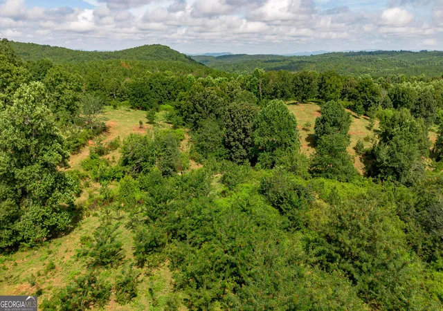 14th image of 5967 County Road 19, Heflin, AL 36264 | MLS# 10812658