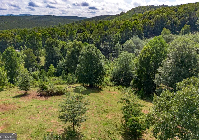 3rd image of 5967 County Road 19, Heflin, AL 36264 | MLS# 10812658