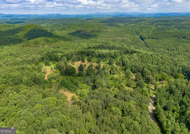 5th image of 5967 County Road 19, Heflin, AL 36264 | MLS# 10812658