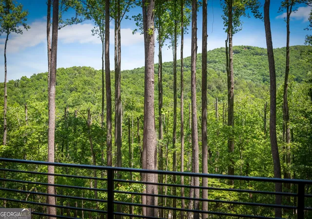 3rd image of 172 Grand Oaks Trl, Morganton, GA 30560 | MLS# 10825012