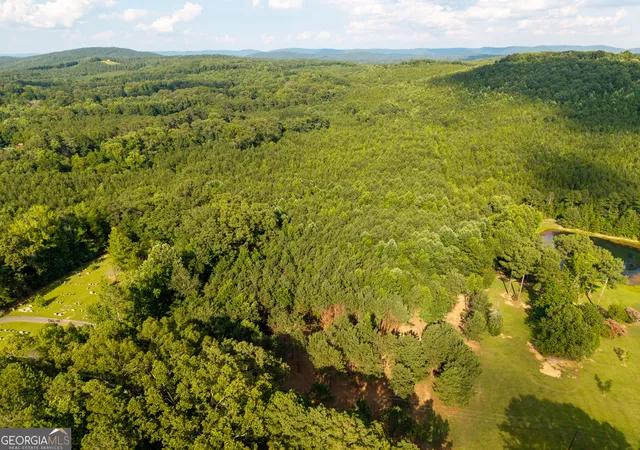 Photo 2 of Land for sale at 0 Hair Lake Rd, Summerville, GA 30747 | MLS# 10802763 | Listing updated on 2026-07-24