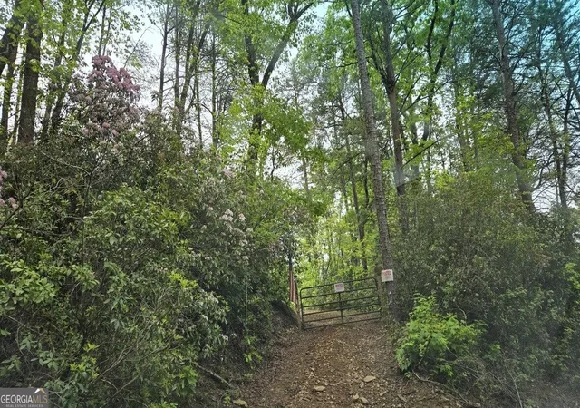 Photo 3 of Land for sale at 1354 Pine Ridge Rd, Clarkesville, GA 30523 | MLS# 10801257 | Listing updated on 2026-08-25