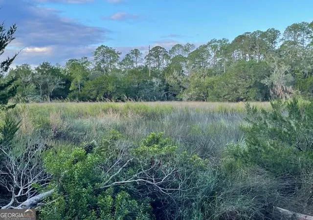 Photo 3 of Land for sale at 120 Montrose, Saint Simons Island, GA 31522 | MLS# 10821586 | Listing updated on 2026-08-21