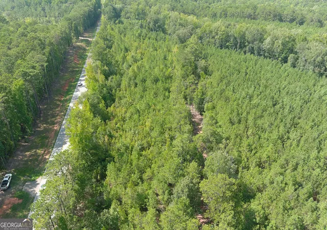 Photo 3 of Sale Pending at 0 Ga Hwy 103, West Point, GA 31833 | MLS# 10836153 | Listing updated on 2026-09-03