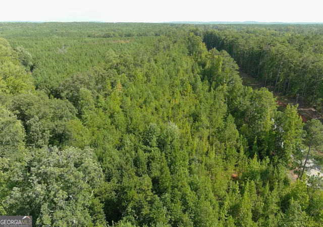 Photo 4 of Sale Pending at 0 Ga Hwy 103, West Point, GA 31833 | MLS# 10836153 | Listing updated on 2026-09-03