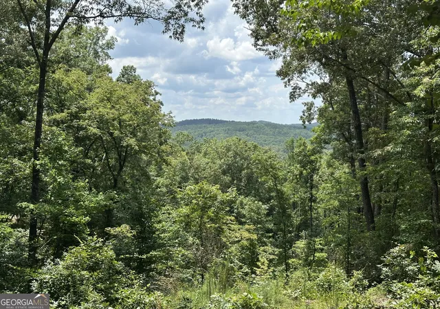 Homes for sale in Talking Rock, GA | Lot 314 Pebble Tr #314, Talking Rock, GA 30175 | MLS# 10724186
