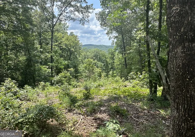 Homes for sale in Talking Rock, GA | Lot 314 Pebble Tr #314, Talking Rock, GA 30175 | MLS# 10724186