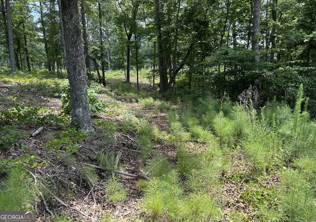 Homes for sale in Talking Rock, GA | Lot 314 Pebble Tr #314, Talking Rock, GA 30175 | MLS# 10724186
