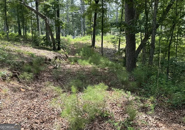 Homes for sale in Talking Rock, GA | Lot 314 Pebble Tr #314, Talking Rock, GA 30175 | MLS# 10724186