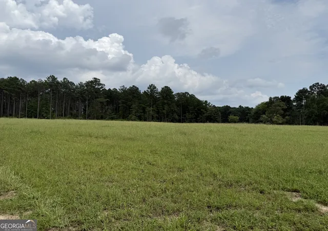 89th image of 2449 H B Dixon Rd, Sparta, GA 31087 | MLS# 10814185