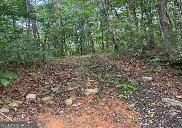1st image of 1096 Ac Paramount Trl, Ellijay, GA 30536 | MLS# 10799440