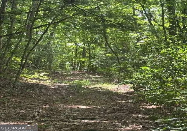 33rd image of 1096 Ac Paramount Trl, Ellijay, GA 30536 | MLS# 10799440
