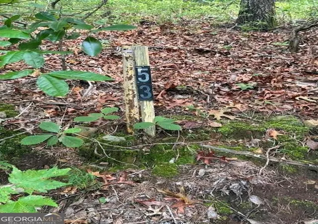 Photo 3 of Land for sale at 1096 Ac Paramount Trl, Ellijay, GA 30536 | MLS# 10799440 | Listing updated on 2026-07-20
