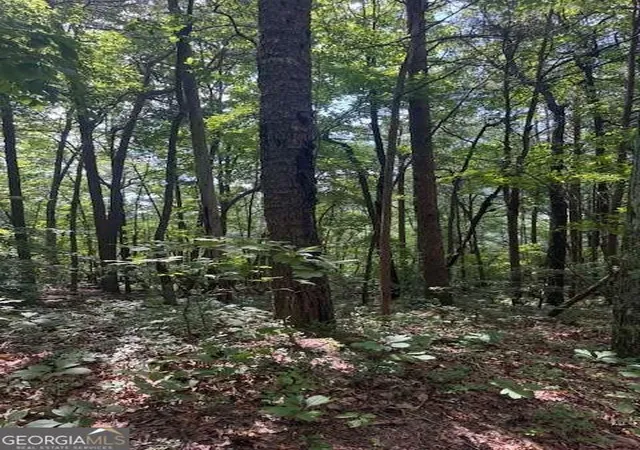 Photo 3 of Land for sale at 1096 Ac Paramount Trl, Ellijay, GA 30536 | MLS# 10799440 | Listing updated on 2026-07-20