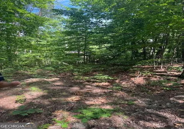 Photo 4 of Land for sale at 1096 Ac Paramount Trl, Ellijay, GA 30536 | MLS# 10799440 | Listing updated on 2026-07-20