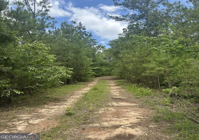 Photo 3 of Land for sale at 1235 +/- Ac White Rd, Pine Mountain, GA 31822 | MLS# 10817574 | Listing updated on 2026-08-16