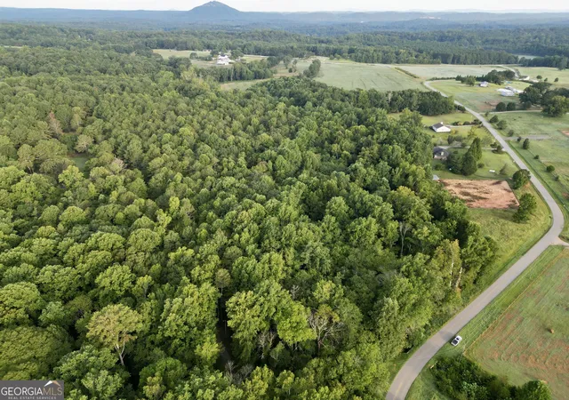 Photo 19 of Land for sale at 0 N Broad River Rd, Eastanollee, GA 30538 | MLS# 10834597 | Listing updated on 2026-09-10