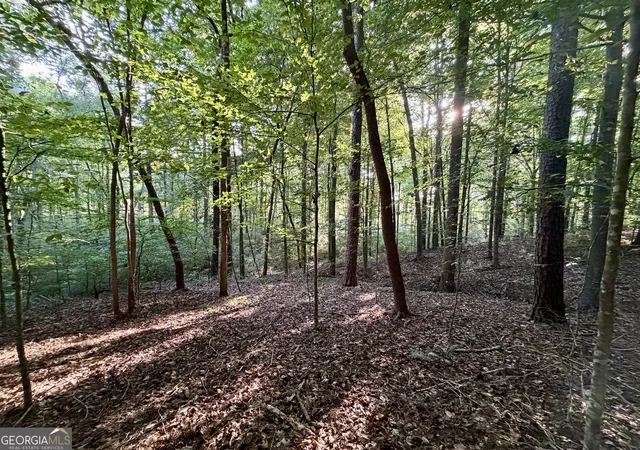 Photo 3 of Land for sale at 0 N Broad River Rd, Eastanollee, GA 30538 | MLS# 10834597 | Listing updated on 2026-09-10