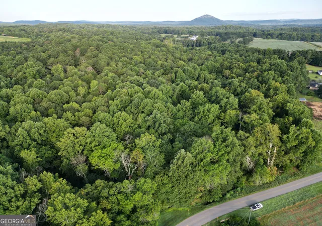 Photo 4 of Land for sale at 0 N Broad River Rd, Eastanollee, GA 30538 | MLS# 10834597 | Listing updated on 2026-09-10