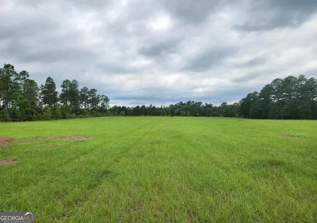 1st image of 0 Stingray Rd, Mixon Rd, Swainsboro, GA 30401 | MLS# 10757305