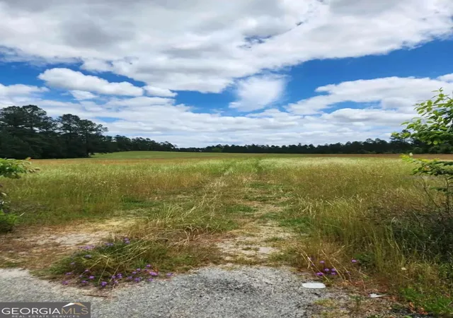 2nd image of 0 Stingray Rd, Mixon Rd, Swainsboro, GA 30401 | MLS# 10757305