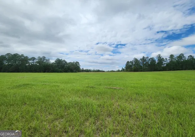 5th image of 0 Stingray Rd, Mixon Rd, Swainsboro, GA 30401 | MLS# 10757305
