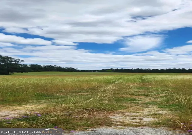 7th image of 0 Stingray Rd, Mixon Rd, Swainsboro, GA 30401 | MLS# 10757305