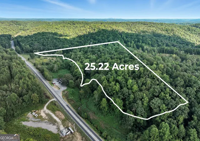 Land for sale at 0 S Chestatee St, Dahlonega, GA 30533 | MLS# 10619536
