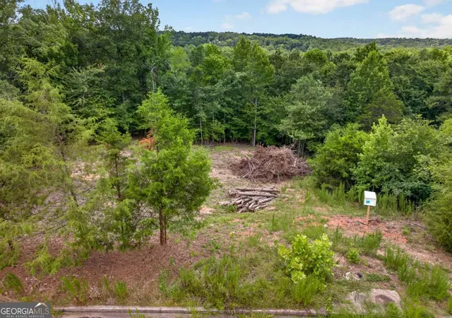 Photo 3 of Land for sale at 4024 Paulette Dr, Monroe, GA 30656 | MLS# 10808711 | Listing updated on 2026-10-08