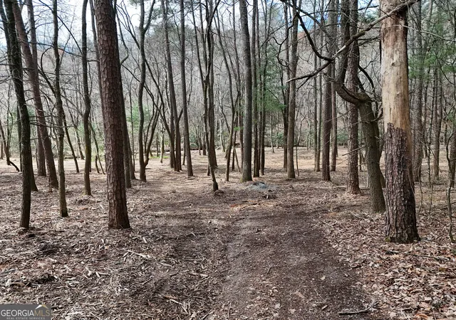 3rd image of Lt 45A Synacia Dr, Mineral Bluff, GA 30559 | MLS# 10780369