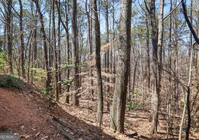 Photo 20 of Condo for sale at 210 Woodcliff Dr, Sandy Springs, GA 30350 | MLS# 10818721 | Listing updated on 2026-08-21