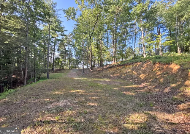 50th image of Lot 2329 South Whitepath Cir, Ellijay, GA 30540 | MLS# 10812167