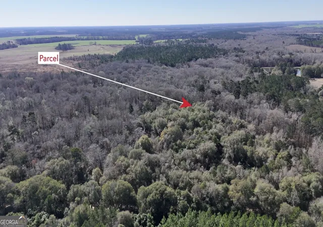 Photo 2 of Land for sale at 0 Hwy 90, Byromville, GA 31007 | MLS# 10699617 | Listing updated on 2026-08-31