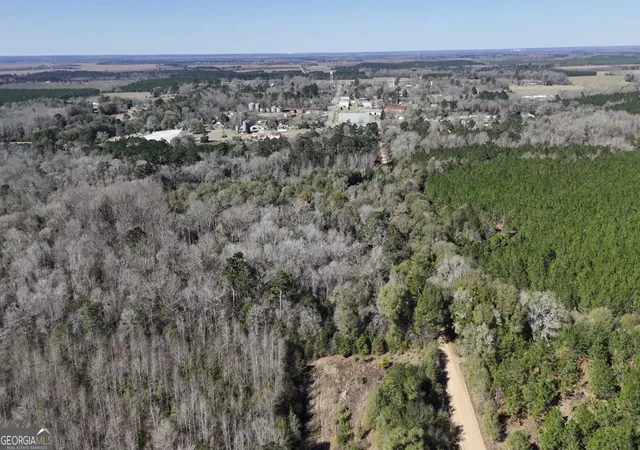 Photo 3 of Land for sale at 0 Hwy 90, Byromville, GA 31007 | MLS# 10699617 | Listing updated on 2026-08-31