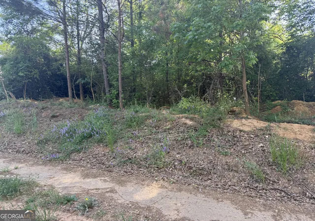 4th image of 0 College, Monticello, GA 31064 | MLS# 10804818