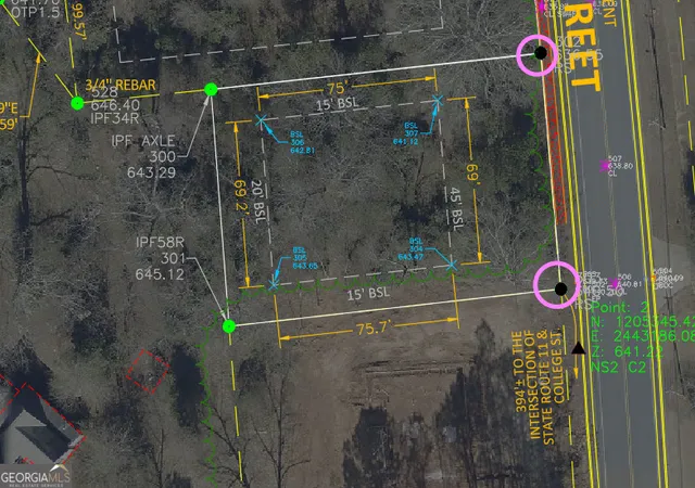 7th image of 0 College, Monticello, GA 31064 | MLS# 10804818
