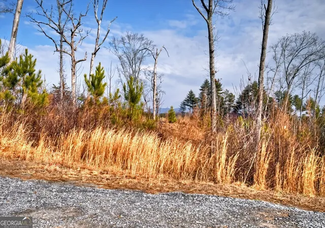 2nd image of 28 Mountaintown Overlook, Ellijay, GA 30540 | MLS# 10688196