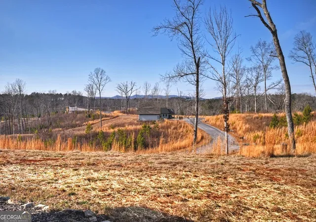 3rd image of 28 Mountaintown Overlook, Ellijay, GA 30540 | MLS# 10688196